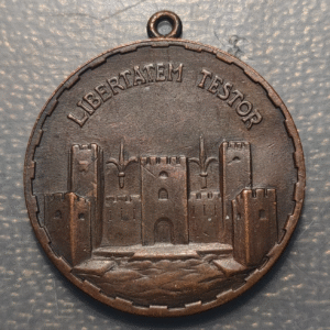 ITALIA TRIESTE MEDALLA LLOYD TRIESTINO BARCO 34x30mm 9,74g