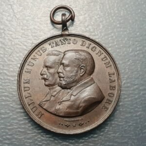 ARGENTINA SALTO ORIENTAL MEDALLA 1 NOVIEMBRE 1903 INSTITUTO POLITECNICO 41x34 mm