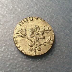 ESTADOS PAPALES  PONDERAL COIN WEIGHT DOBLA NUEVA - DOPPIA NUOVA ROMA 2,72 g