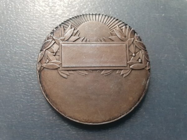 FRANCIA RIFLE FUCIL CAZA MEDALLA PLATA O BROZE PLATEADO 50 mm - Imagen 2