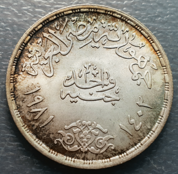 EGIPTO EGYPT 1 POUND 1981 KM 527 SC UNC PATINA BONITA - Imagen 2