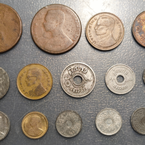 TAILANDIA THAILAND LOTE 14 MONEDAS DISTINTAS