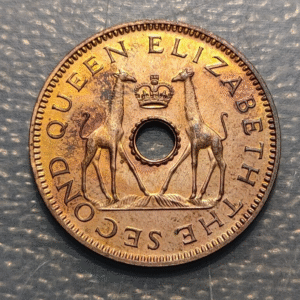 RHODESIA & NYASALAND RODESIA & NYASALANDIA 1/2 PENNY 1955 PROOF SC-/SC