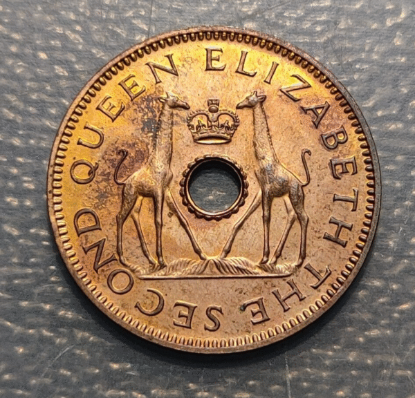 RHODESIA & NYASALAND RODESIA & NYASALANDIA 1/2 PENNY 1955 PROOF SC-/SC
