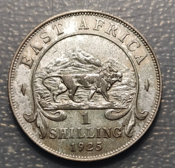 BRITISH EAST AFRICA GEORGE V 1 SHILLING 1925 MBC-/MBC - Imagen 2