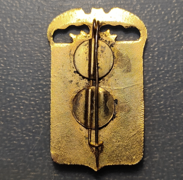 MEDALLA RELIGIOSA VALENCIA HOSPITALIDAD VALENCIANA DE N.S. DE LOURDES INSIGNIA - Imagen 2