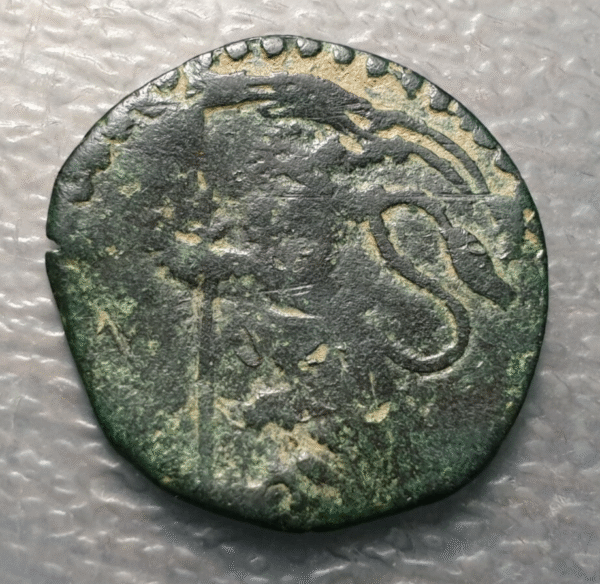 ESTADOS PAPALES PONTIFICIO BOLOGNA BOLONIA INNOCENCIO X QUATTRINO 1648 BC/BC+ - Imagen 2
