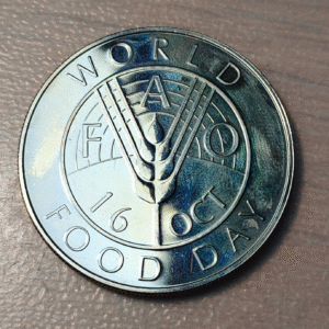 FAO EAST CARIBBEAN STATES 10 DOLLARS 1981 CU-NI KM 16 SC UNC