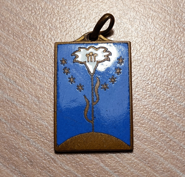 MEDALLA RELIGIOSA CON ESMALTES BEATI MUNDO ORDEN CANTO GREGORIANO 23x14mm 2,88g