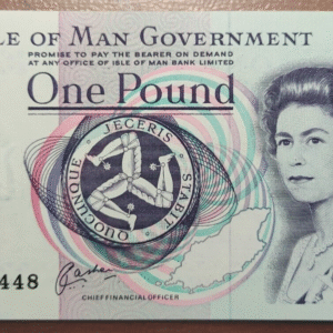 ISLE OF MAN ELIZABETH II 1 POUND (1990-2009) P 40b SC UNC